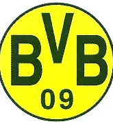 AYX SPORTS-多特蒙德足球俱乐部